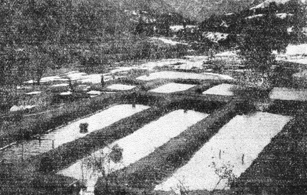 Piscicultura Río Blanco 1905.jpg